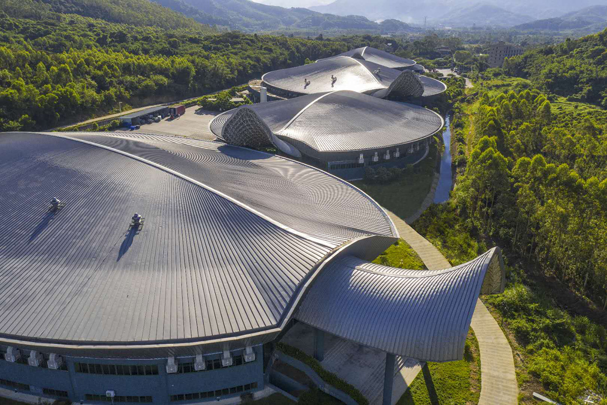 PP电子·5金狮(中国区)游戏官方网站