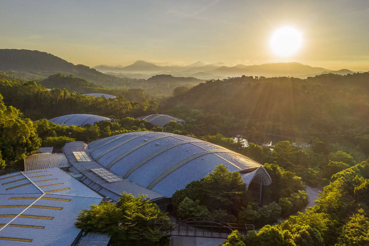 PP电子·5金狮(中国区)游戏官方网站