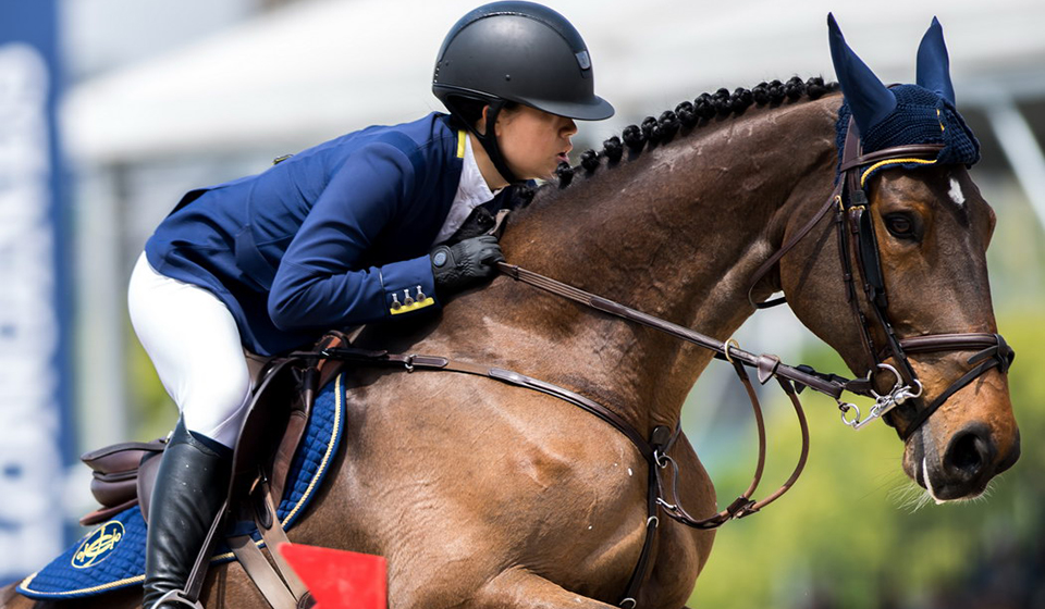 PP电子·5金狮(中国区)游戏官方网站