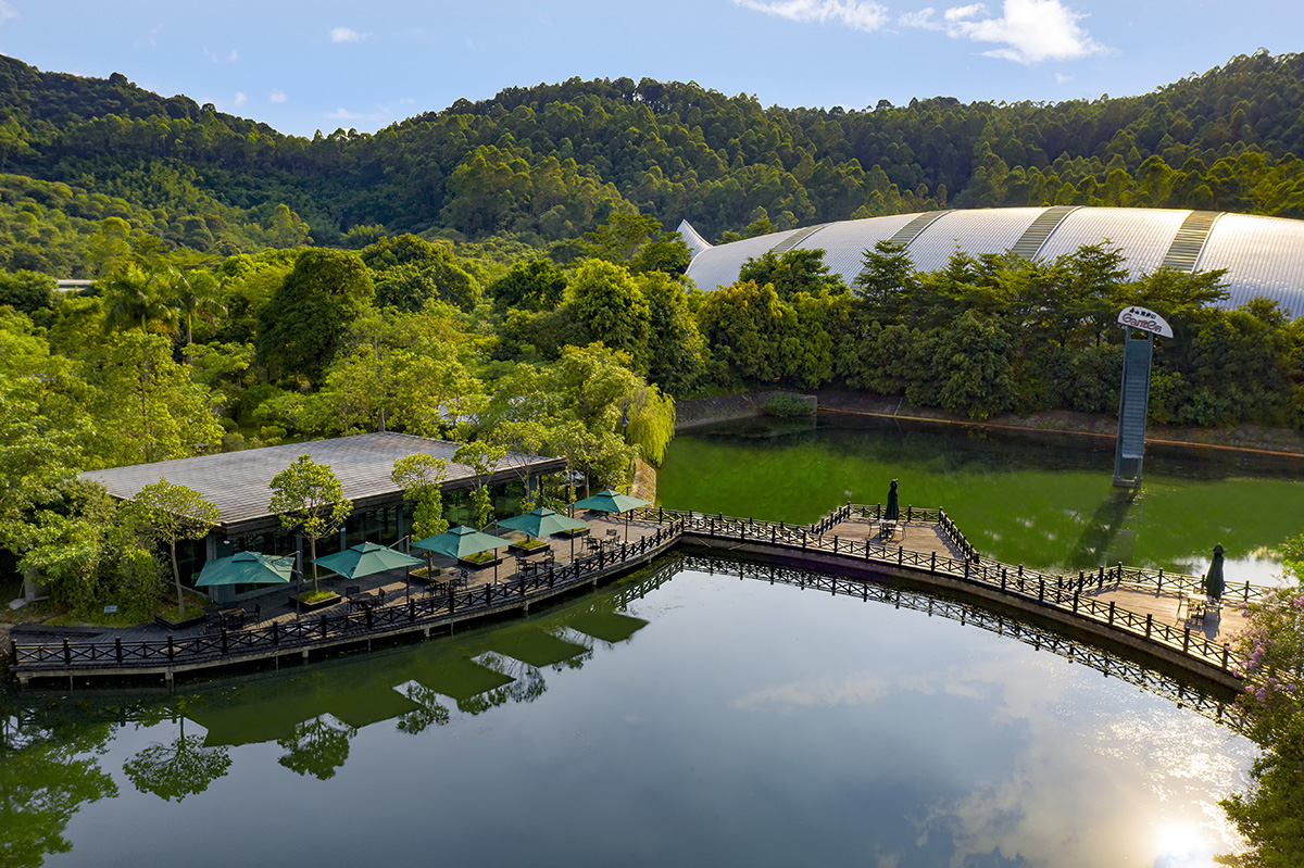 PP电子·5金狮(中国区)游戏官方网站