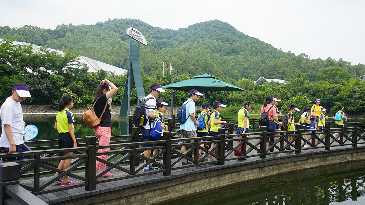 PP电子·5金狮(中国区)游戏官方网站