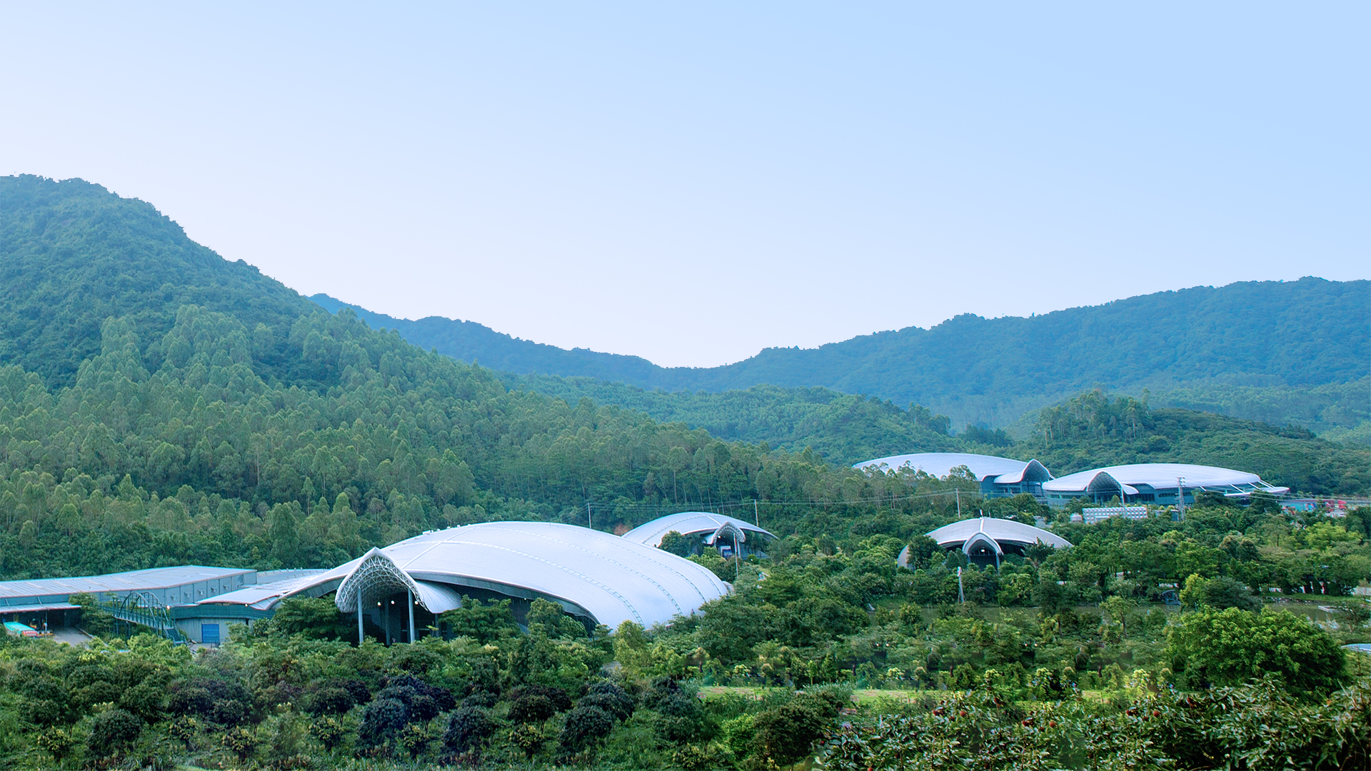 PP电子·5金狮(中国区)游戏官方网站