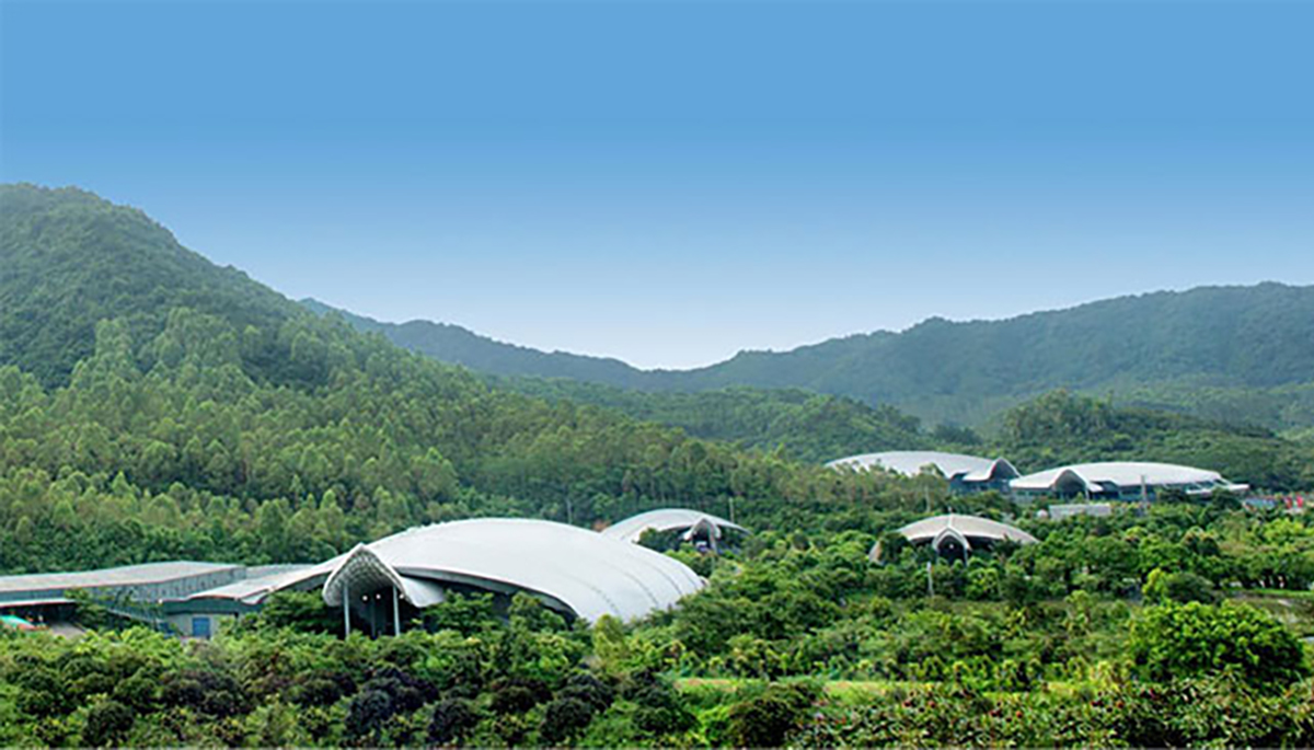 PP电子·5金狮(中国区)游戏官方网站