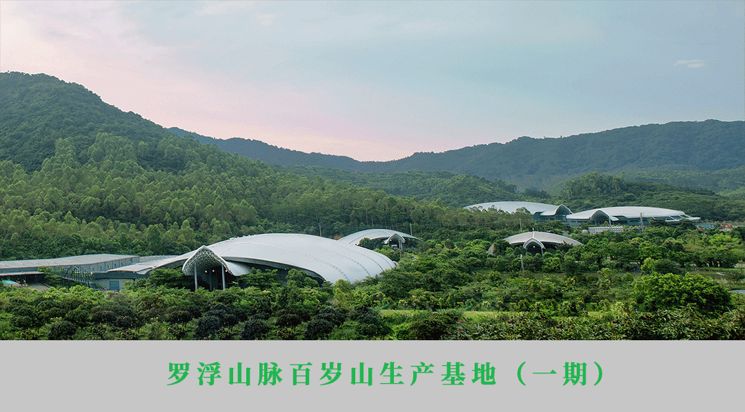 PP电子·5金狮(中国区)游戏官方网站