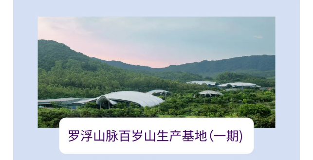 PP电子·5金狮(中国区)游戏官方网站