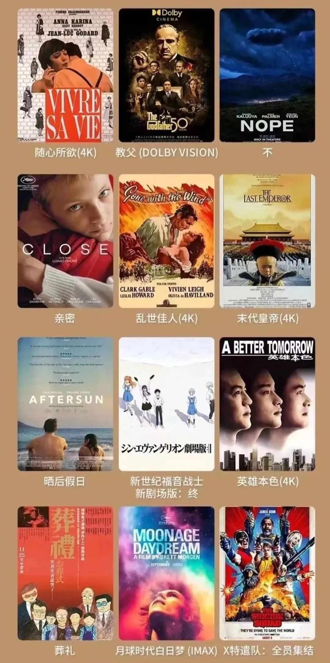 PP电子·5金狮(中国区)游戏官方网站