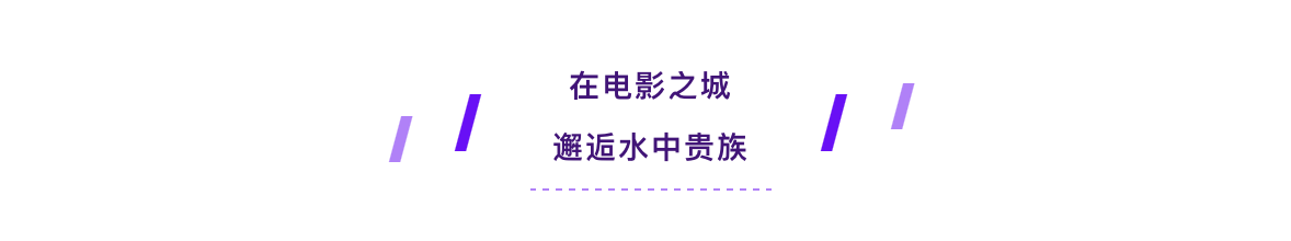PP电子·5金狮(中国区)游戏官方网站